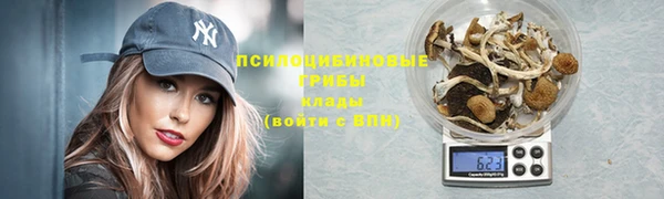 МДПВ Каменск-Шахтинский