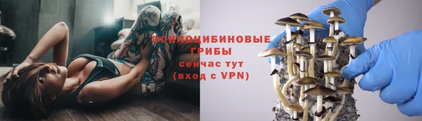 МДПВ Каменск-Шахтинский