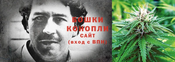 первитин Каменногорск