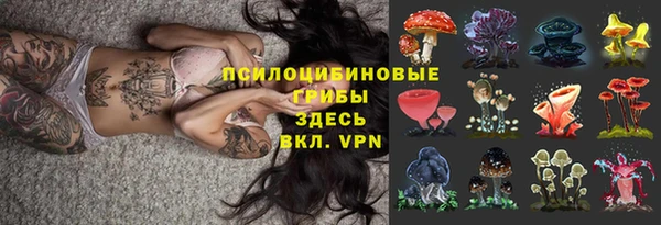 МДПВ Каменск-Шахтинский